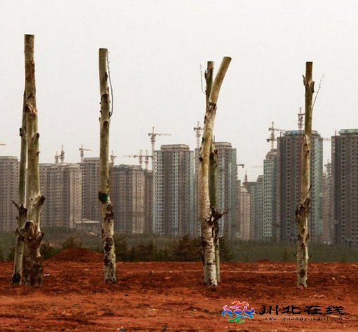 兔子撒鷹:虛火當(dāng)治,鬼城莫修