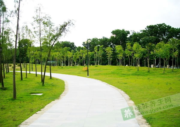 清明養(yǎng)生原則圖 清明養(yǎng)生原則圖