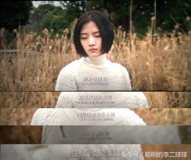 《悲傷逆流成河》:仙人掌不是花,沒人會(huì)捧在手心里