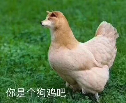 我的馬鴨是什么鴨?