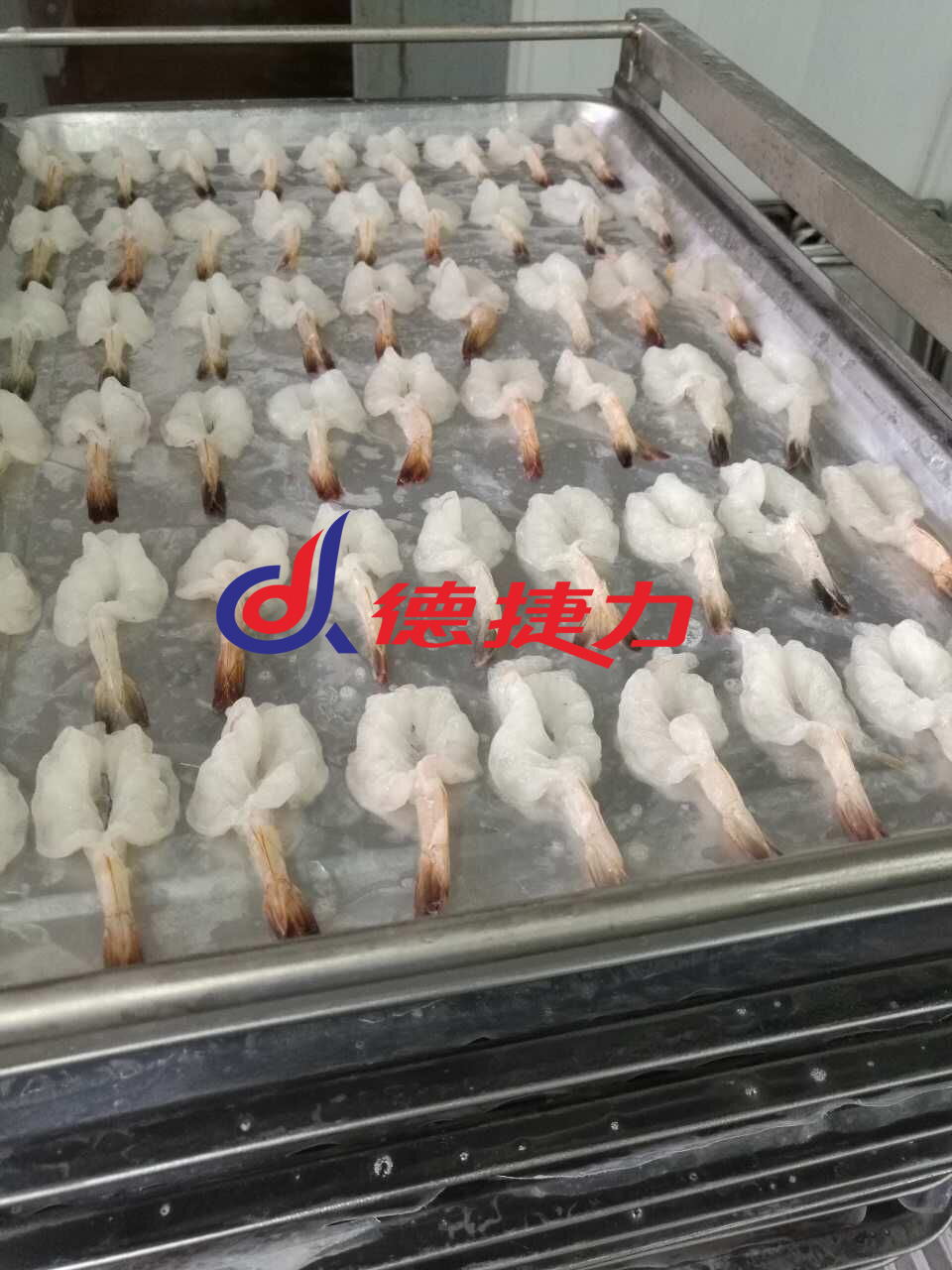 德捷力速凍蝦 德捷力速凍蝦