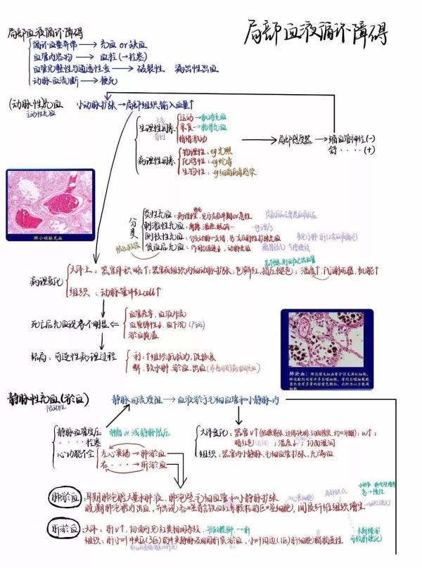 피УW(xu)ԕɹPӛW(wng)ѹˣ@ǲడ