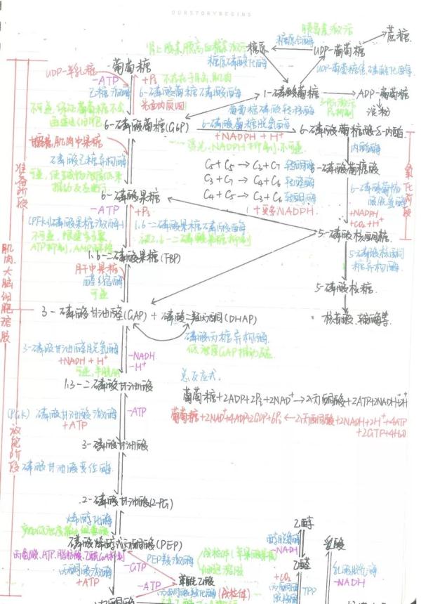 피УW(xu)ԕɹPӛW(wng)ѹˣ@ǲడ