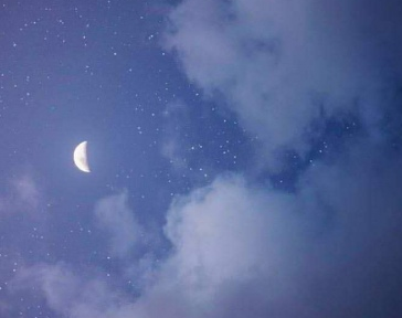 2020微信個性簽名最火的 種自己的花愛自己的宇宙