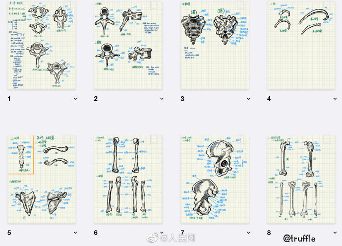 復(fù)旦學(xué)霸的神仙筆記 精致到想收藏 復(fù)旦學(xué)霸的神仙筆記 精致到想收藏