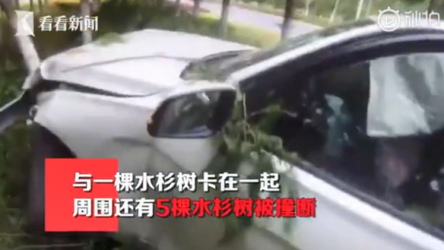 吃感冒藥后開車連撞六棵樹怎么回事?具體詳情始末曝光太驚魂