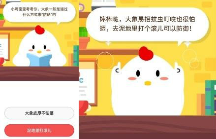 大象一般是通過什么方式來防曬的?大象為什么要去泥地里打滾兒