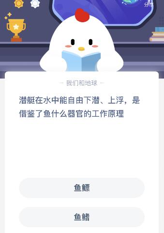 ͧˮϸǽb~ʲôٵĹԭΛρf@11.11