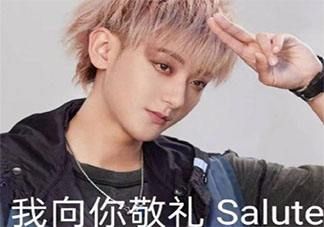 我向你敬禮salute什么意思 我向你敬禮salute表情包大全圖片1