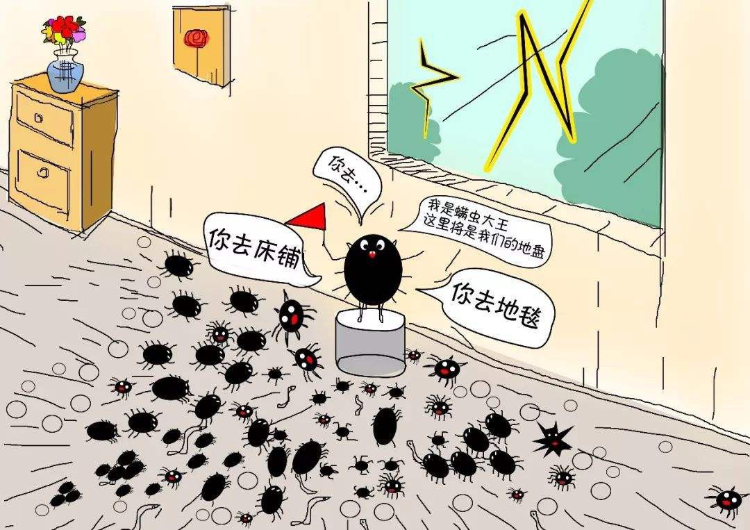 怎樣消滅螨蟲