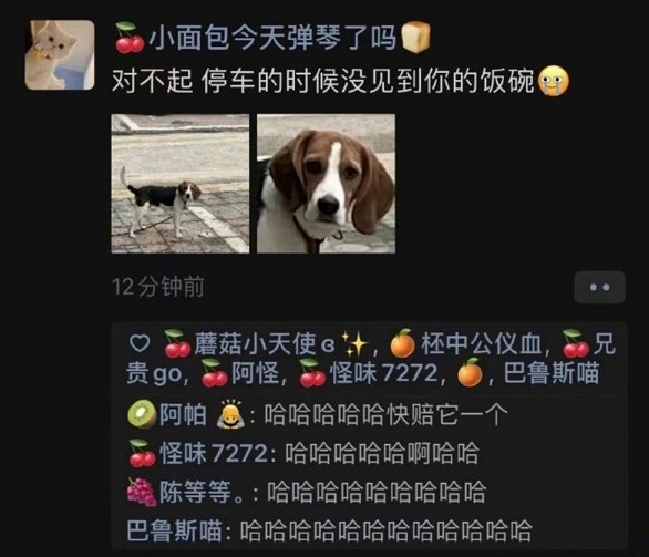 對不起停車沒有看到你的碗是什么意思 抖音對不起停車沒有看到你的狗碗表情包圖片1