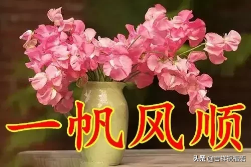 ʮһ,̫Ư,̫Ư,ͽoҵȦ!l_lҸ