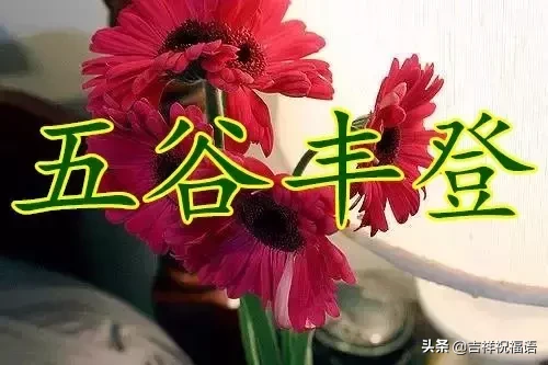 ʮһ,̫Ư,̫Ư,ͽoҵȦ!l_lҸ