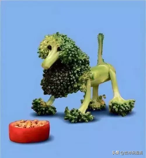 ʮһ,̫Ư,̫Ư,ͽoҵȦ!l_lҸ