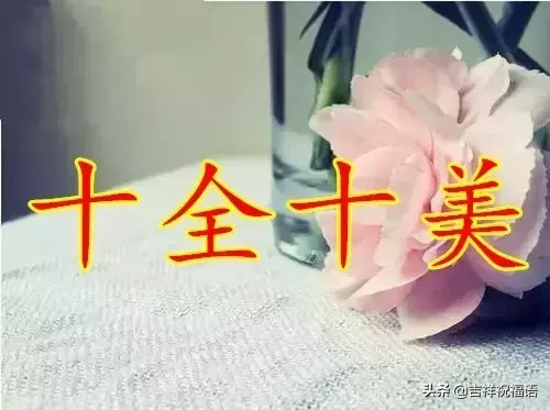 ʮһ,̫Ư,̫Ư,ͽoҵȦ!l_lҸ