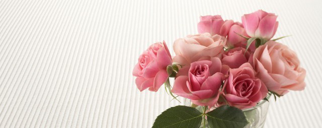 粉色玫瑰的花語是什么
