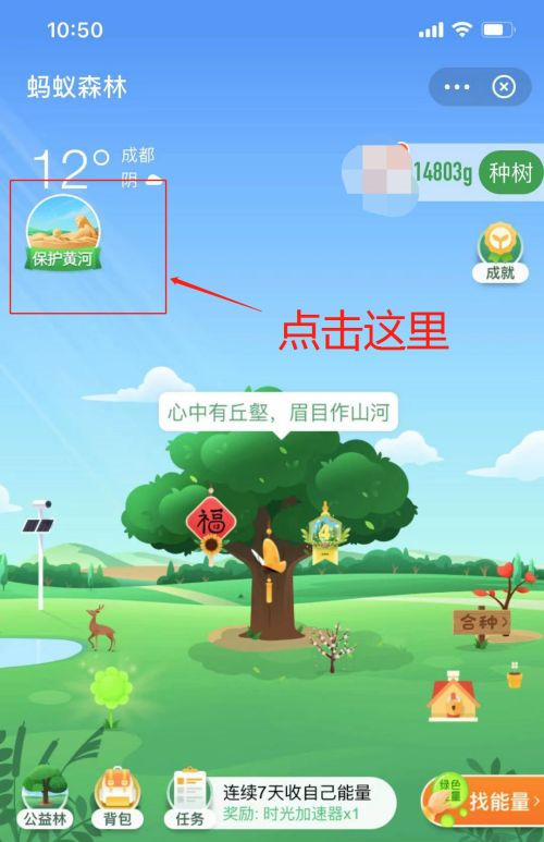 支付寶螞蟻森林保護(hù)黃河活動(dòng)怎么玩?螞蟻森林保護(hù)黃河活動(dòng)玩法介紹圖片3