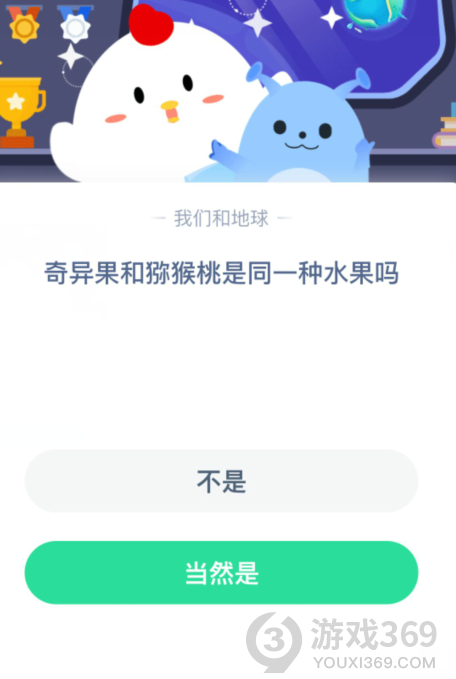 奇異果和獼猴桃是同一種水果嗎