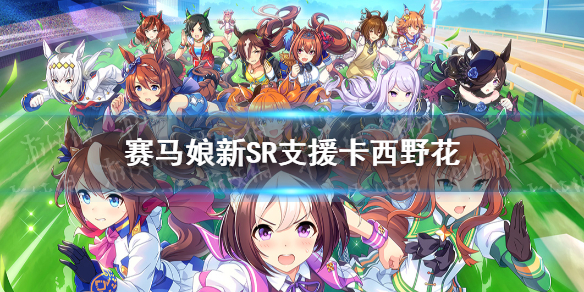 賽馬娘SR西野花支援卡怎么樣 賽馬娘手游新西野花支援卡滿破效果