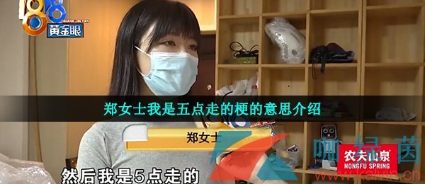 鄭女士我是五點(diǎn)走的梗的意思介紹