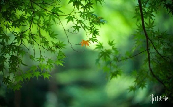 游俠網(wǎng)2