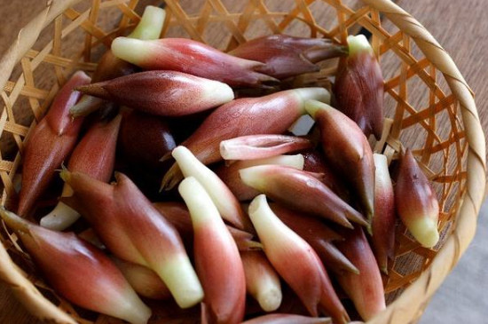 陽荷是什么菜