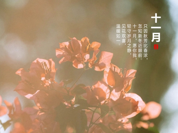 游俠網(wǎng)6