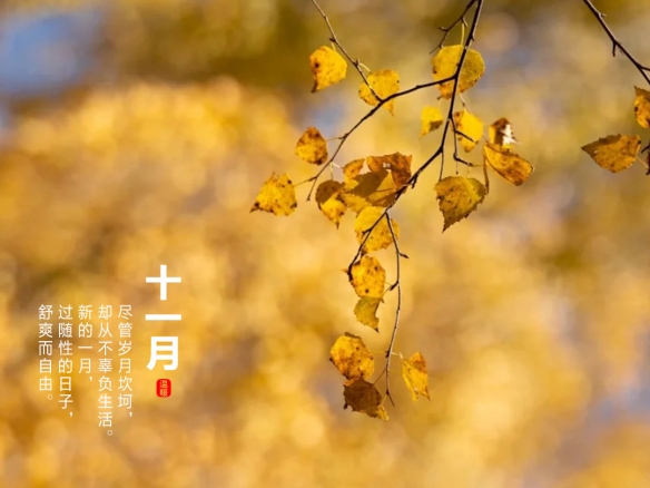 游俠網(wǎng)5