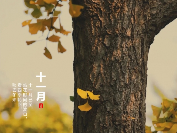 游俠網(wǎng)4