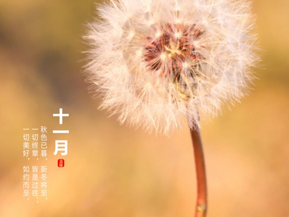 游俠網(wǎng)3