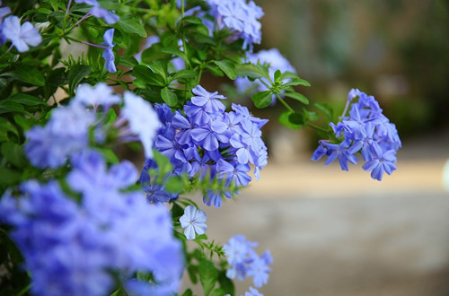1637397699642034.jpg data-cke-saved-src=http___bbs.qn.img-space.com_201911_2_5b23f3d7b80d6c732a103f9c1784724d.jpg_imageView2_2_w_1024_q_100_ignore-error_1_&refer=http___bbs.qn.img-space_副本.jpg src=http___bbs.qn.img-space.com_201911_2_5b23f3d7b80d6c732a103f9c1784724d.jpg_imageView2_2_w_1024_q_100_ignore-error_1_&refer=http___bbs.qn.img-space_副本.jpg