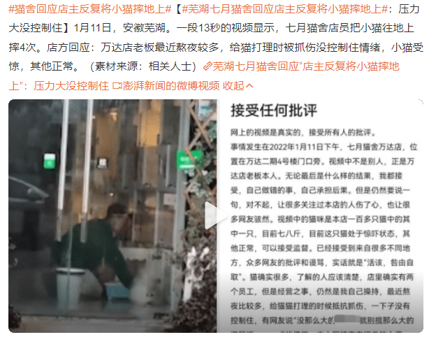 貓舍回應(yīng)店主反復將小貓摔地上:壓力太大