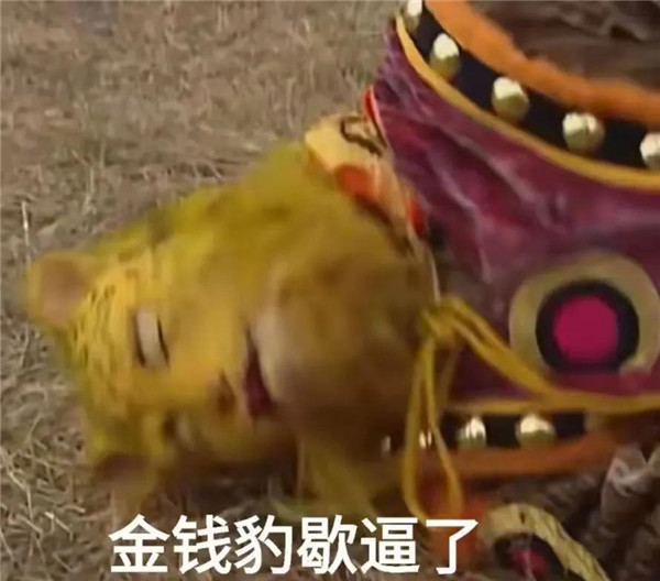 西游記金錢豹頭像什么梗?金錢豹頭像圖片西游記高清分享圖片10