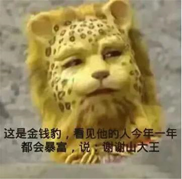 西游記金錢豹頭像什么梗?金錢豹頭像圖片西游記高清分享圖片14