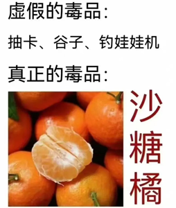 砂糖橘是什么梗?沒有一袋砂糖橘能過夜