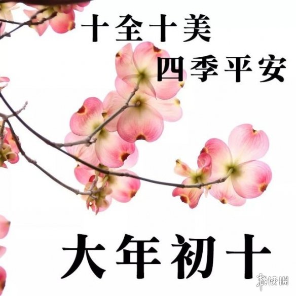 游俠網(wǎng)5