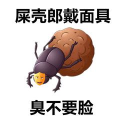 游俠網(wǎng)51