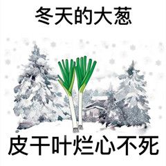 游俠網(wǎng)55