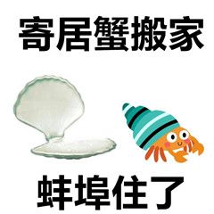 游俠網(wǎng)49
