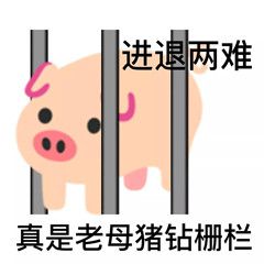 游俠網(wǎng)48