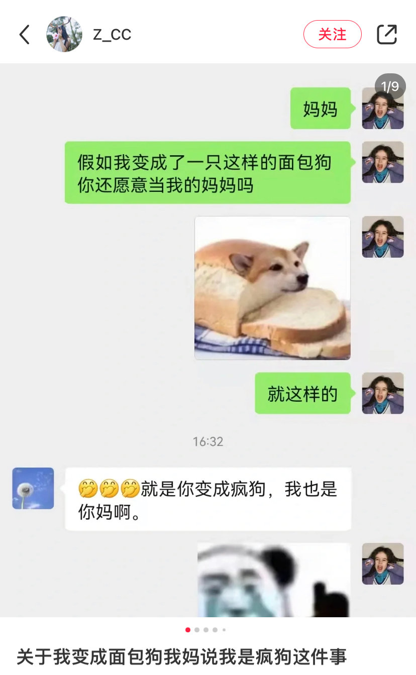 面包狗是什么梗?面包狗表情包 面包狗含義出處介紹 面包狗是什么梗?面包狗表情包 面包狗含義出處介紹