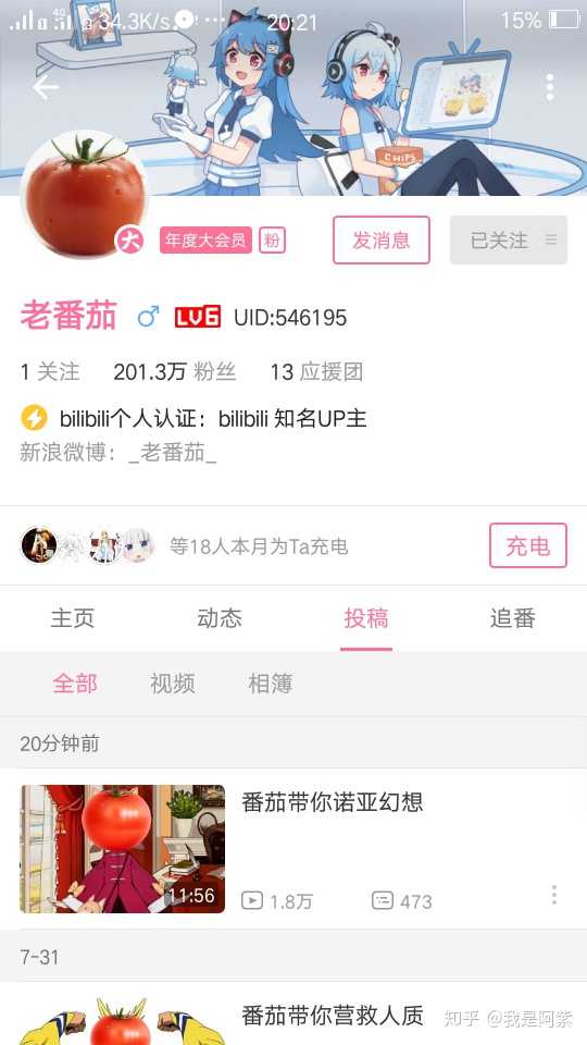 up主是什么意思