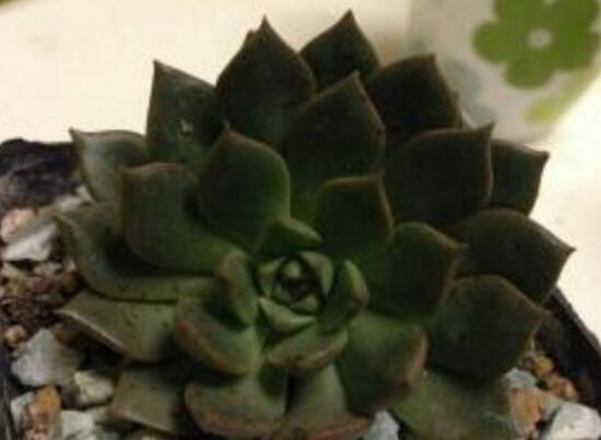 ~кڰôk3(g)EQڰ߆}