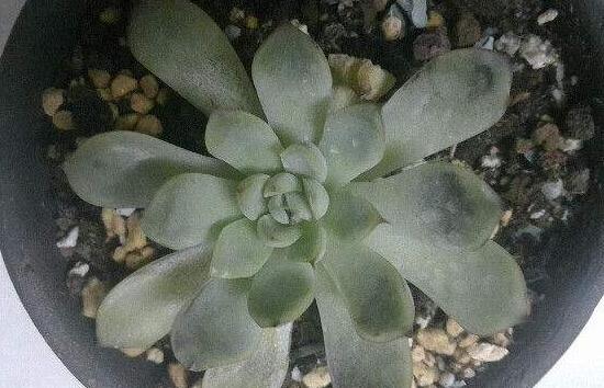 ~кڰôk3(g)EQڰ߆}