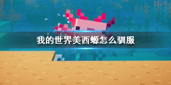 游俠網(wǎng)1