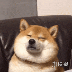 游俠網(wǎng)2