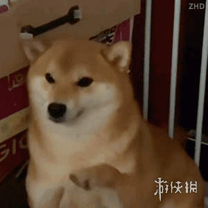 游俠網(wǎng)6
