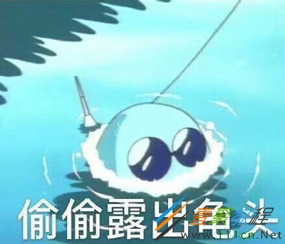 職業(yè)龜化是什么梗 職業(yè)龜化是什么意思