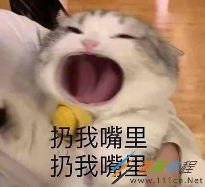 沒有一袋砂糖橘能過夜是什么梗 沒有一袋砂糖橘能過夜是什么意思