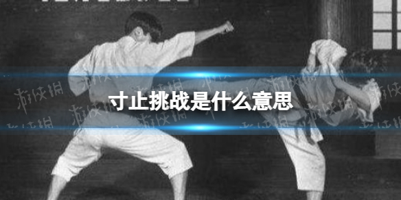 游俠網(wǎng)1